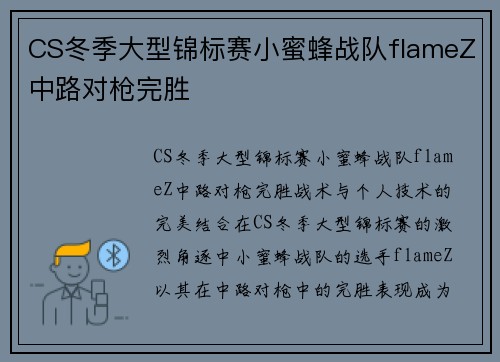CS冬季大型锦标赛小蜜蜂战队flameZ中路对枪完胜