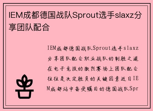 IEM成都德国战队Sprout选手slaxz分享团队配合